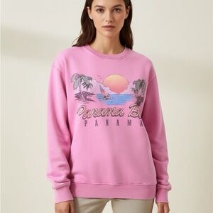 Hollister Pink Sweatshirt size XS
